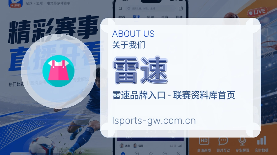 关于 雷速